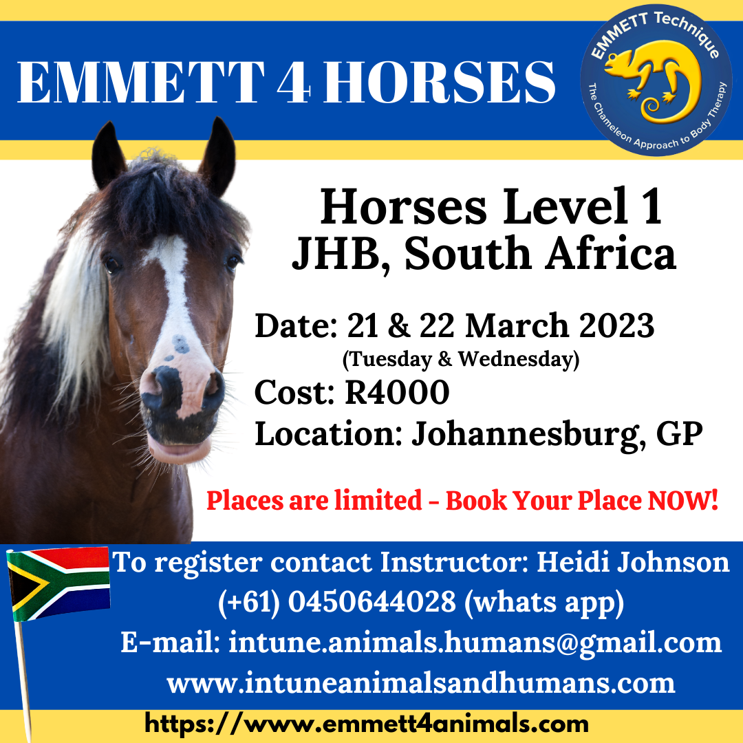 Horse Level 1 South Africa, GP Johannesburg 21 & 22 March 2023