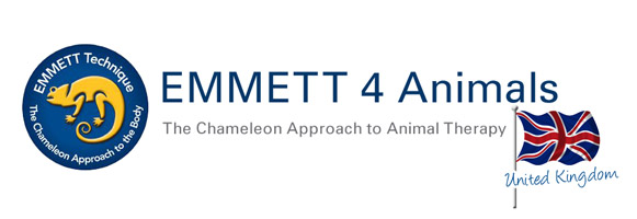 emmett-4-animals