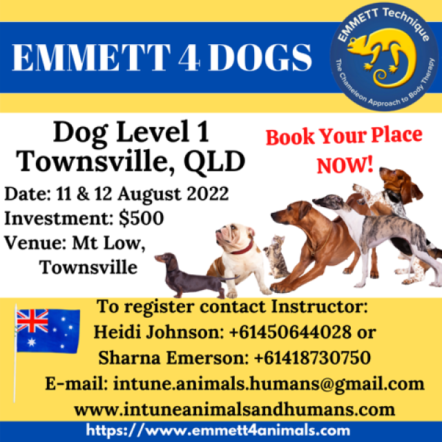 Dog Level 1 - Townsville - 11/12 August 2022 