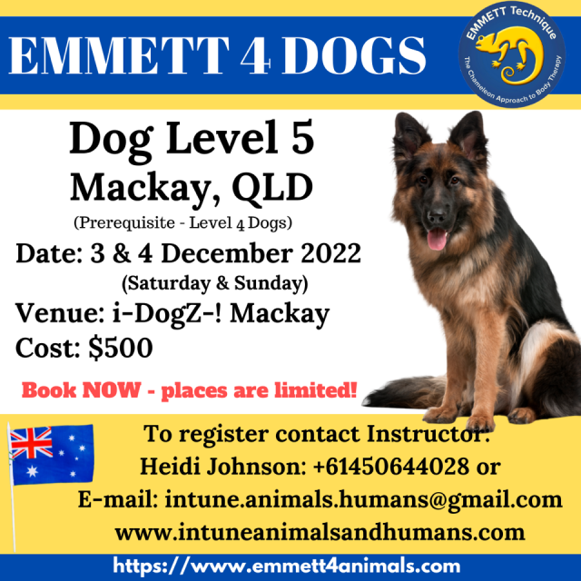 Dog Level 5 - Aust - Qld - Mackay- 3rd & 4th December 2022