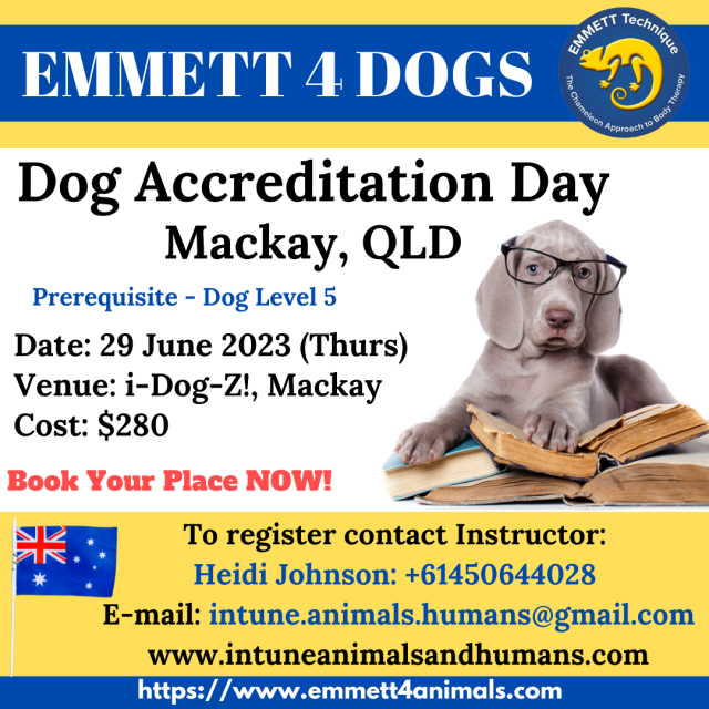 Dog Accreditation Day - Australia - Mackay, QLD - 29 June 2023 (Thursday)