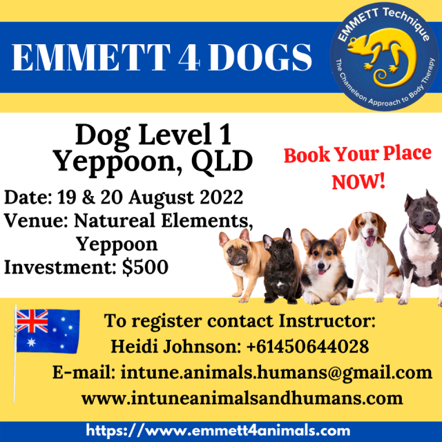 Dog Level 1 - Yepoon - 19/20 August 2022