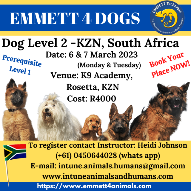 Dog Level 2 - South Africa, KZN - Rosetta - 6 & 7 March 2023