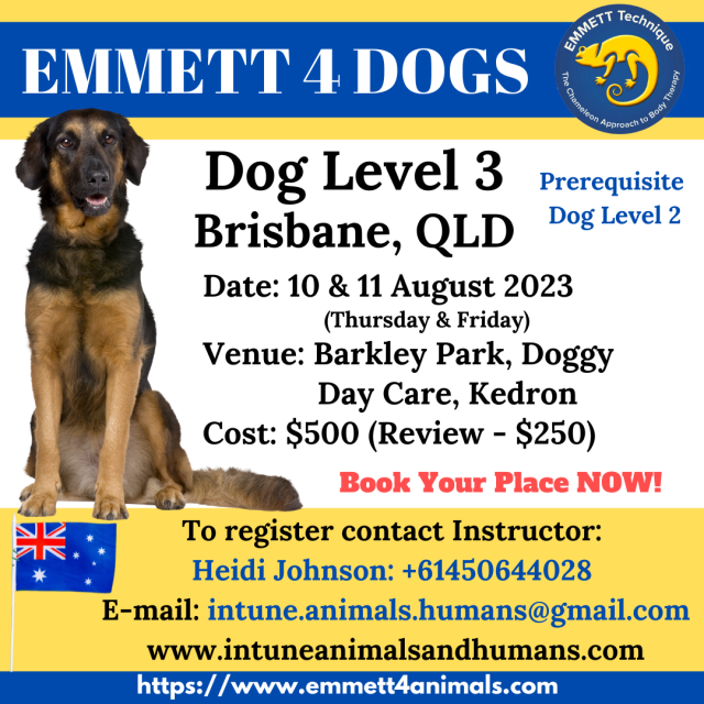 Dog Level 3 - Brisbane, QLD - 10 & 11 August 2023 (Thursday & Friday)
