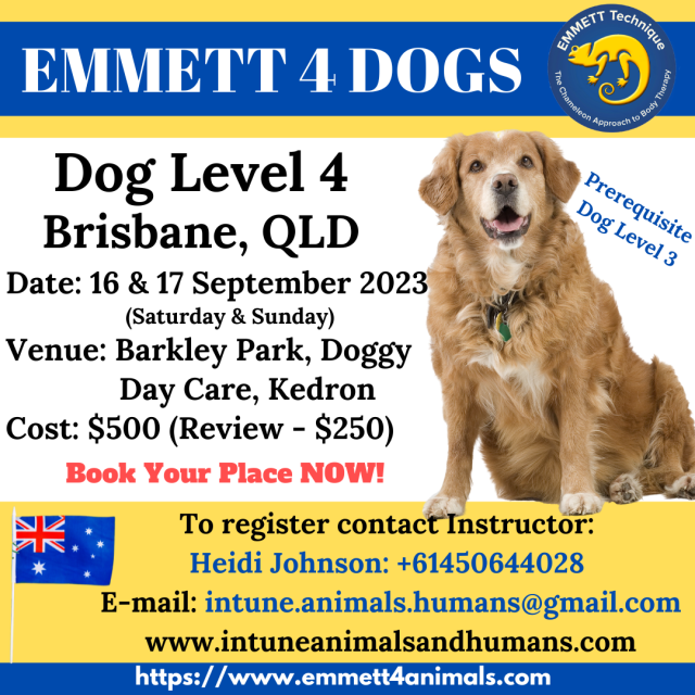 Dog Level 4 - Brisbane, QLD - 16 & 17 September 2023