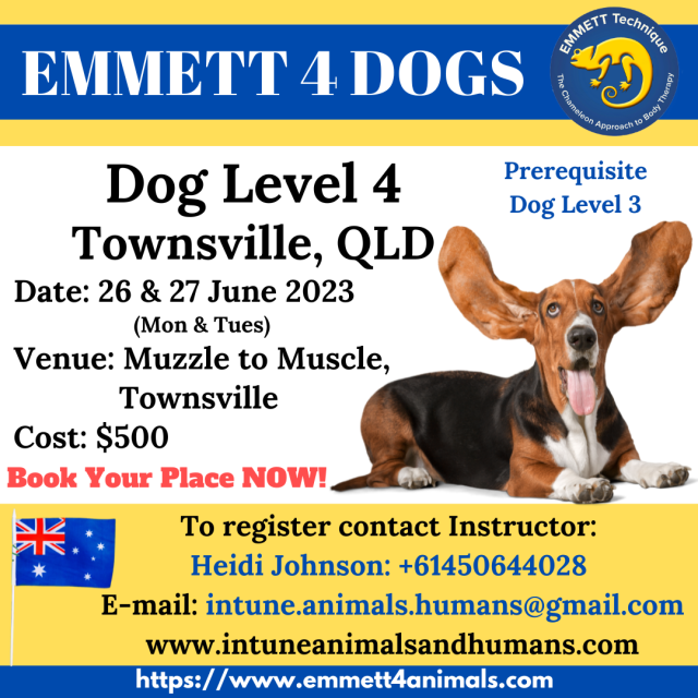 Dog Level 4 - Australia- Townsville, QLD - 26 & 27 June 2023 (Mon & Tues)