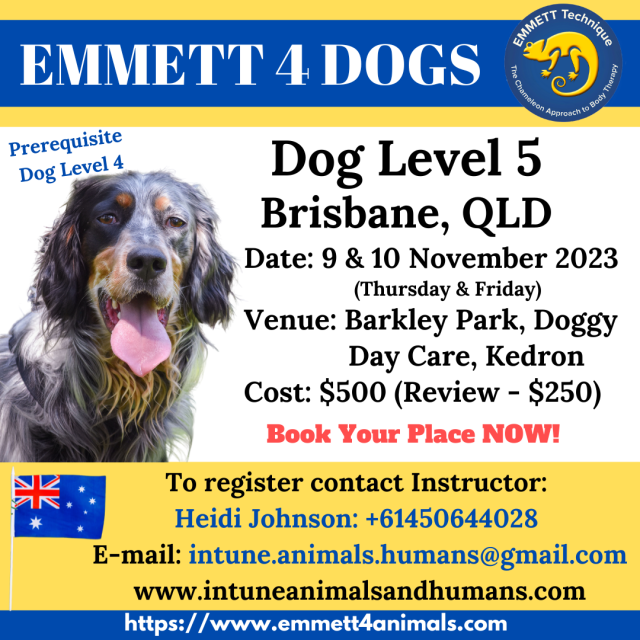 Dog Level 5 - Brisbane, QLD - 9 & 10 November 2023 (Thurs & Fri)