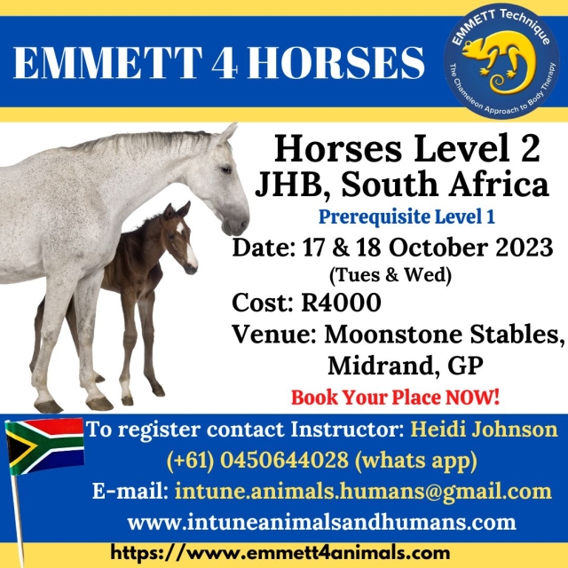 Horse Level 2 - Midrand, GP, South Africa - 17 & 18 Ocotber 2023