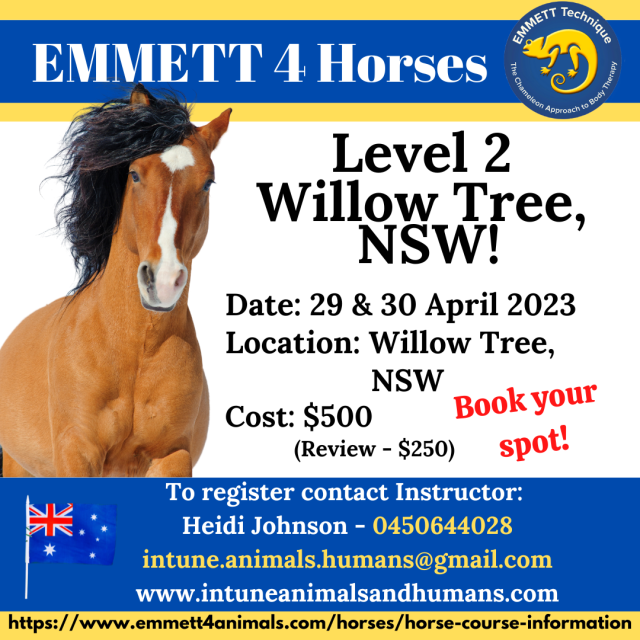 Horse Level 2 - Willow Tree, NSW - 29 & 30 April 2023