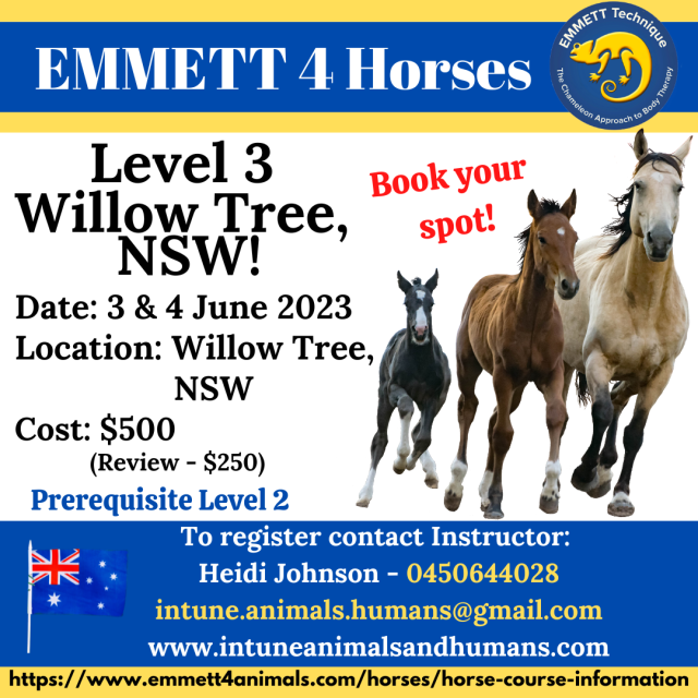 Horse Level 3 - Willow Tree, NSW - 3 & 4 June 2023