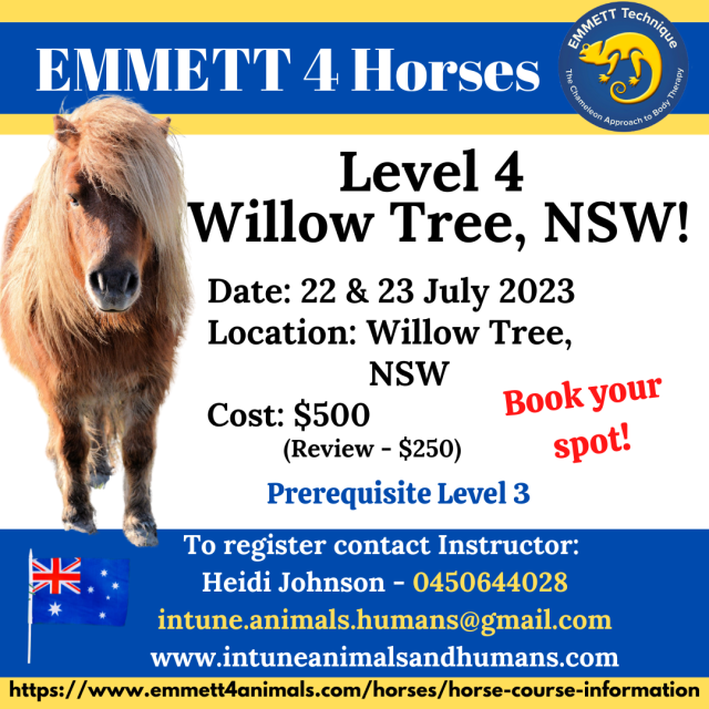Horse Level 4 Willow Tree, NSW 22 & 23 July 2023Level 4 Emmett 4 Animals