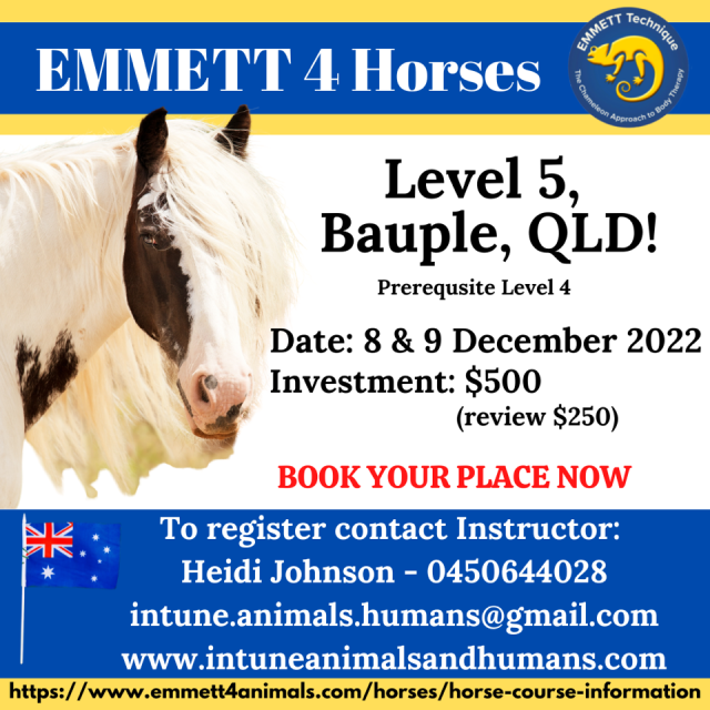Horse Level 5 - Aust - QLD - Bauple - 8th & 9th December 2022