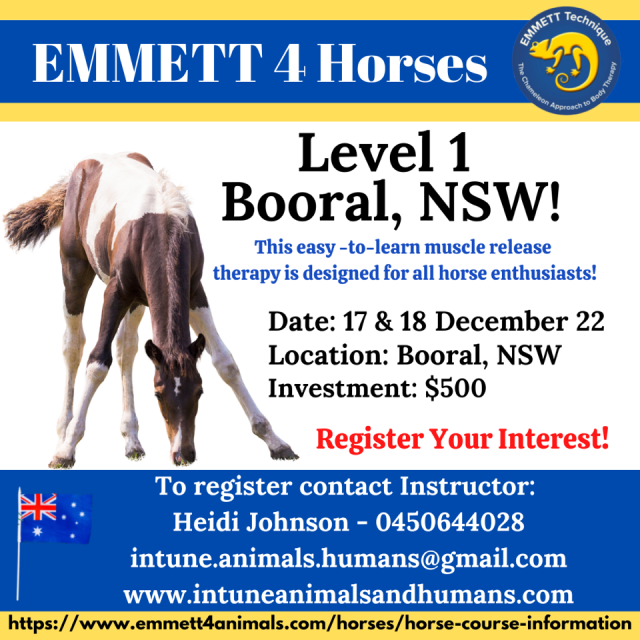 Horses Level 1 - Booral, NSW -Australia, 17th-18th December 2022