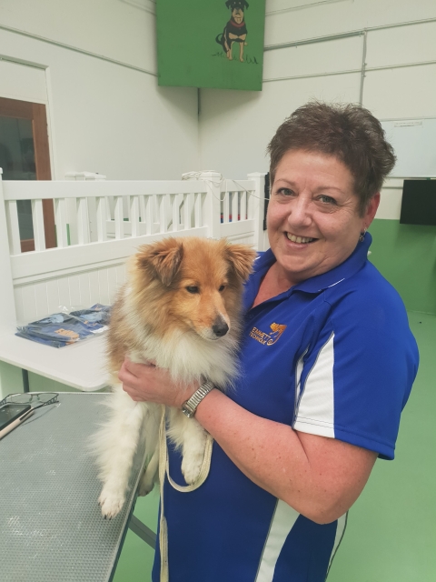 Dog Accreditation - Rowville, VIC -28th October 2023