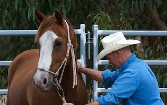 Horse Accreditation and Client Clinic Day -  Ballarat, VIC- 26 & 27 October 2023