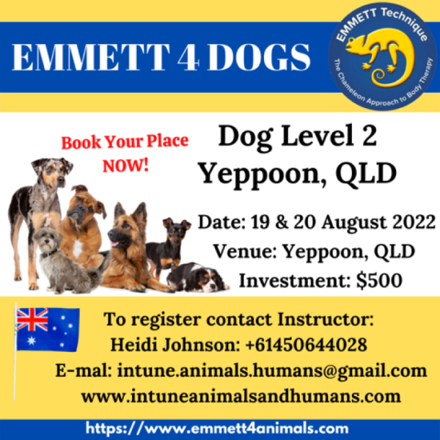 Dog Level 2 - Yepoon - 19/20 August 2022