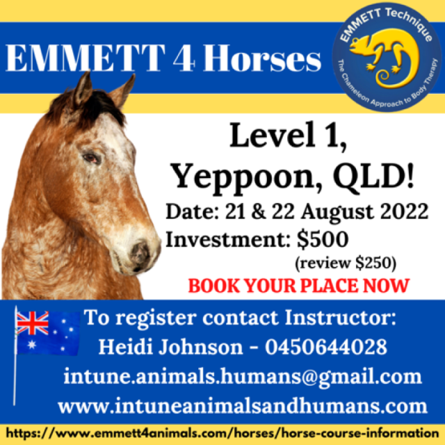 Horse Level 1 - QLD - Yepoon - 21/22 August 2022 