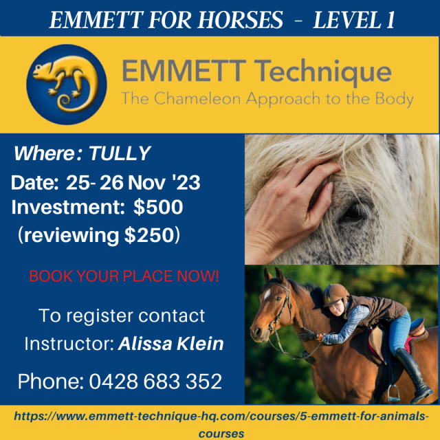 Horse Level 1 - AUST - QLD - Tully - 25 & 26 November 2023 