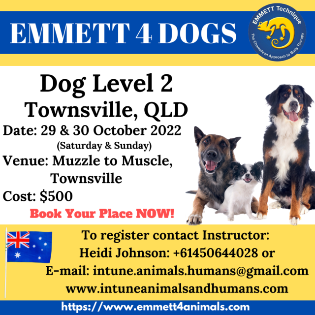 Level 1 - Cairns - 13th-14th August 2022