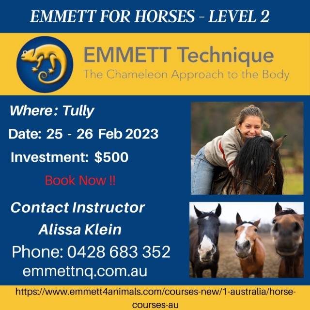 Horse Level 2 - Aust - QLD - Tully - 25 & 26 February 2023 