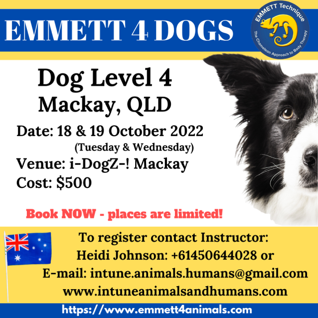 Dog Level 4 - Aust - Qld - Mackay- 18th & 19th Oct 2022