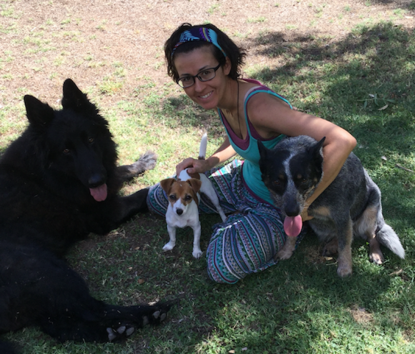 EMMETT 4 Dogs - a great experience