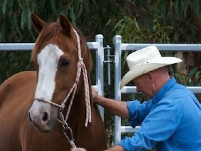 Neil Jamieson - AUSTRALIA